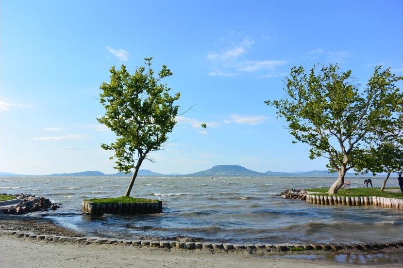 Fák a sekély vízben a balatonfenyvesi parton